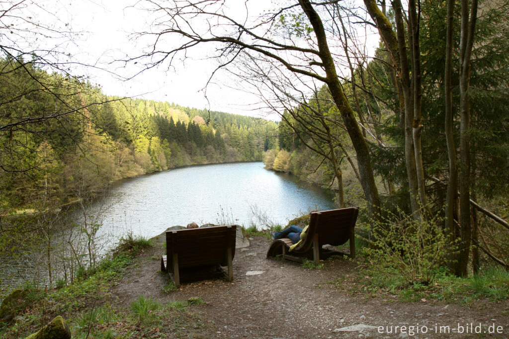 Ruhebänke bei der Perlenbachtalsperre, Eifelsteig