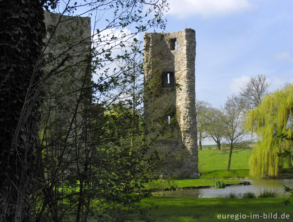 Detailansicht von Ruine der Wasserburg Haus Heyden, Aachen-Horbach