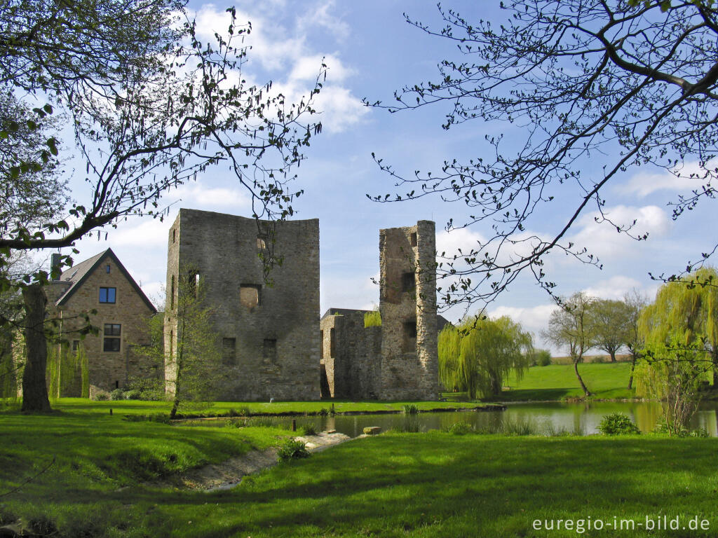 Detailansicht von Ruine der Wasserburg Haus Heyden, Aachen-Horbach