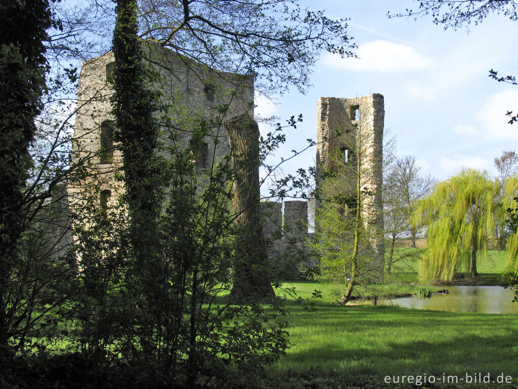 Detailansicht von Ruine der Wasserburg Haus Heyden, Aachen-Horbach