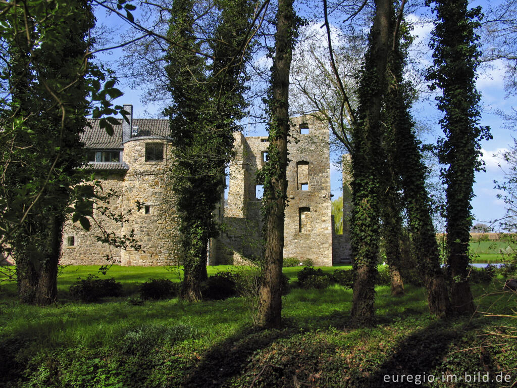 Detailansicht von Ruine der Wasserburg Haus Heyden, Aachen-Horbach