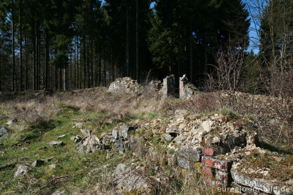 Ruine des Reinartzhofs im Osthertogenwald