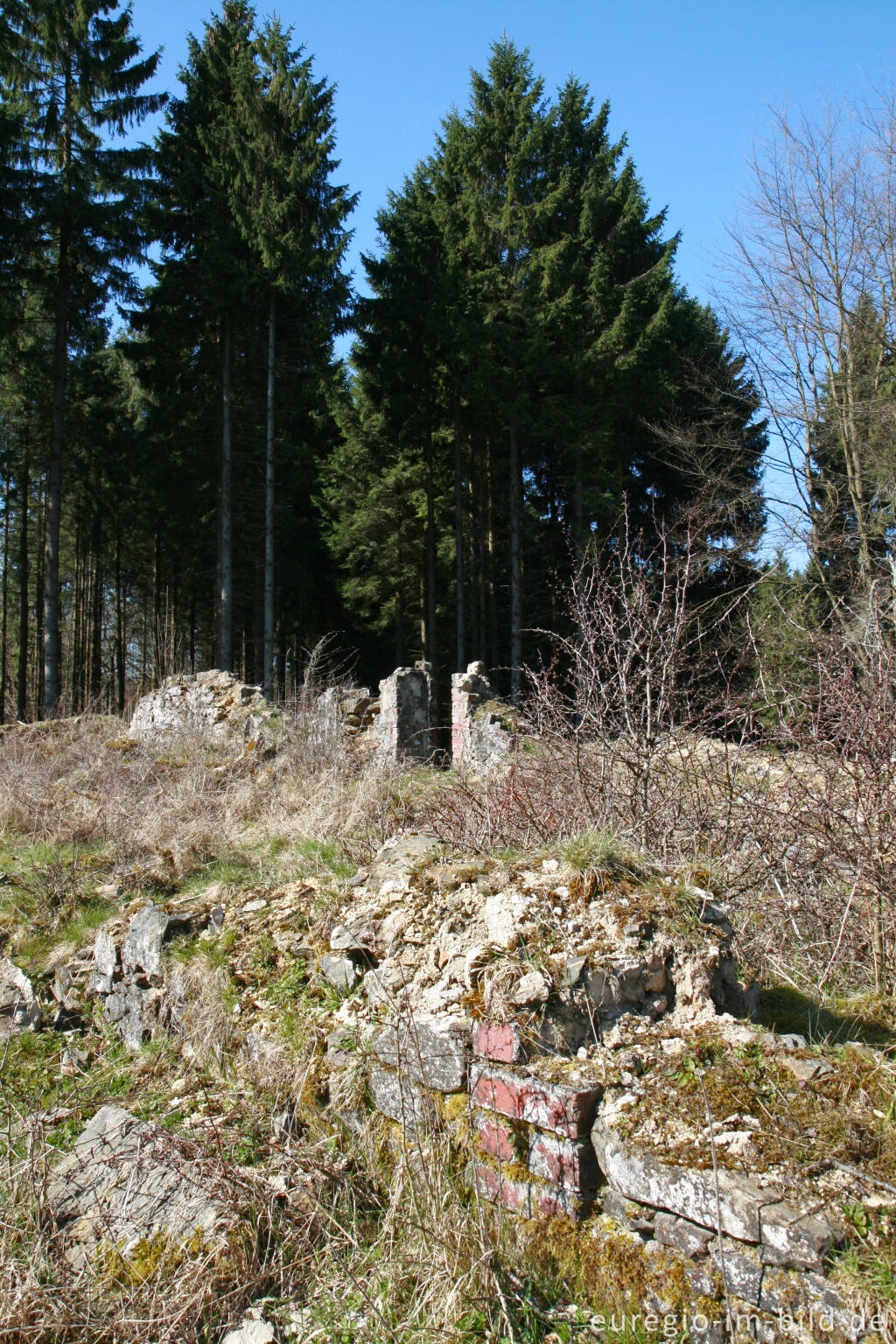 Detailansicht von Ruine des Reinartzhofs im Osthertogenwald