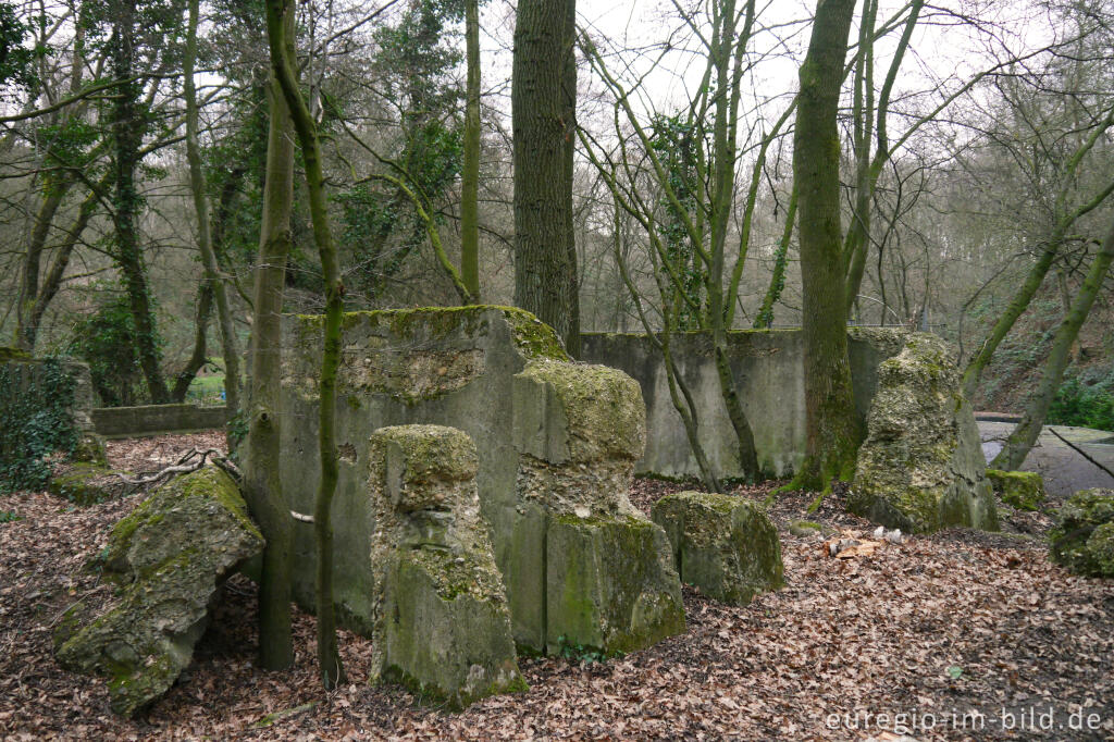 Detailansicht von Ruine im Naturpark Worm-Wildnis bei Worm