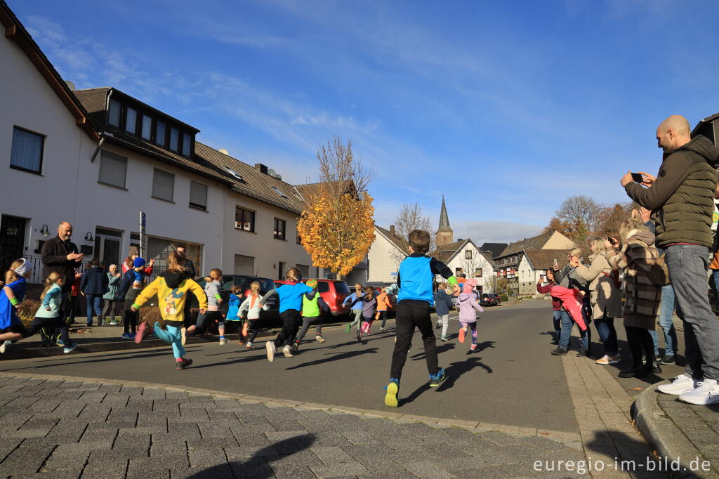 Detailansicht von Rursee-Marathon