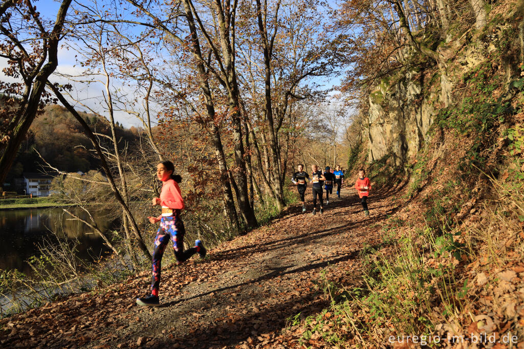 Detailansicht von Rursee-Marathon