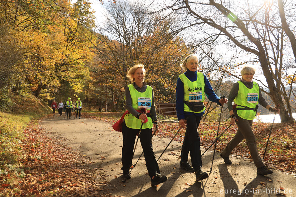 Detailansicht von Rursee Marathon 2021, Walking / Nordic-Walking