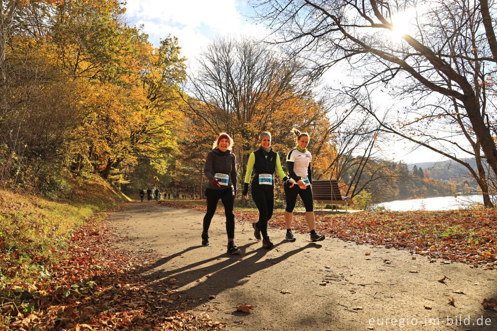 Detailansicht von Rursee Marathon 2021, Walking / Nordic