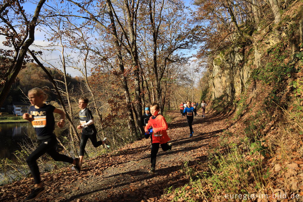 Detailansicht von Rursee-Marathon