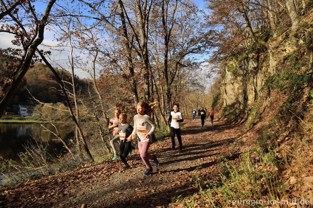 Detailansicht von Rursee-Marathon