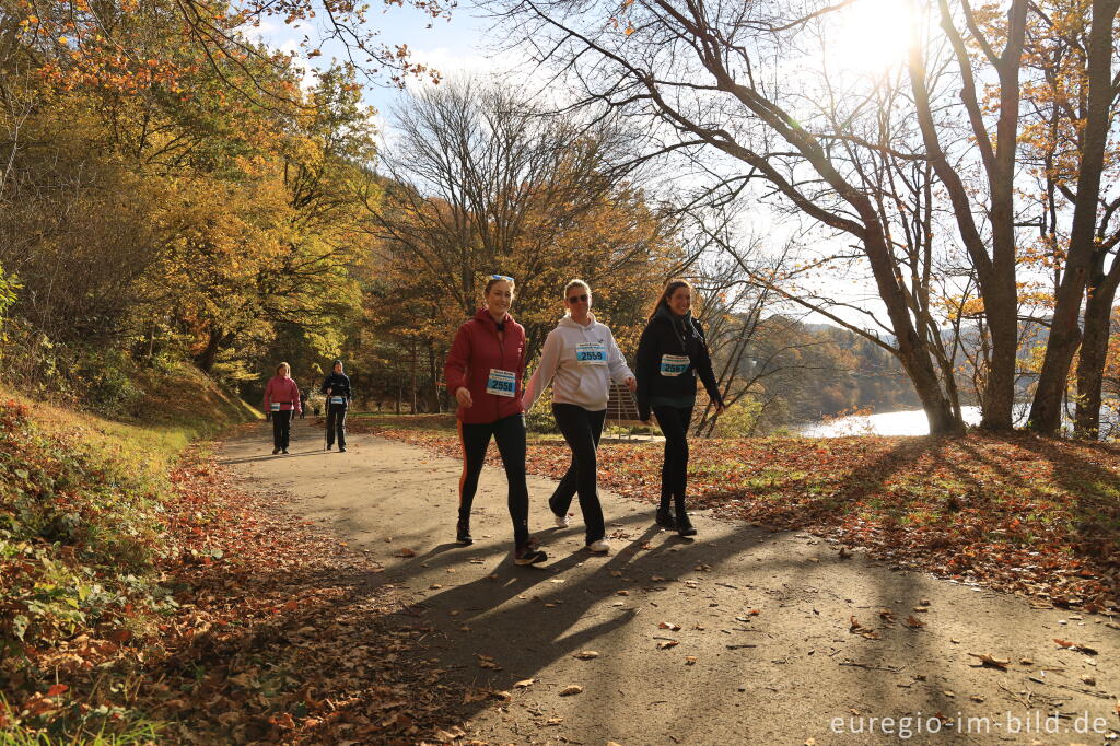 Detailansicht von Rursee-Marathon