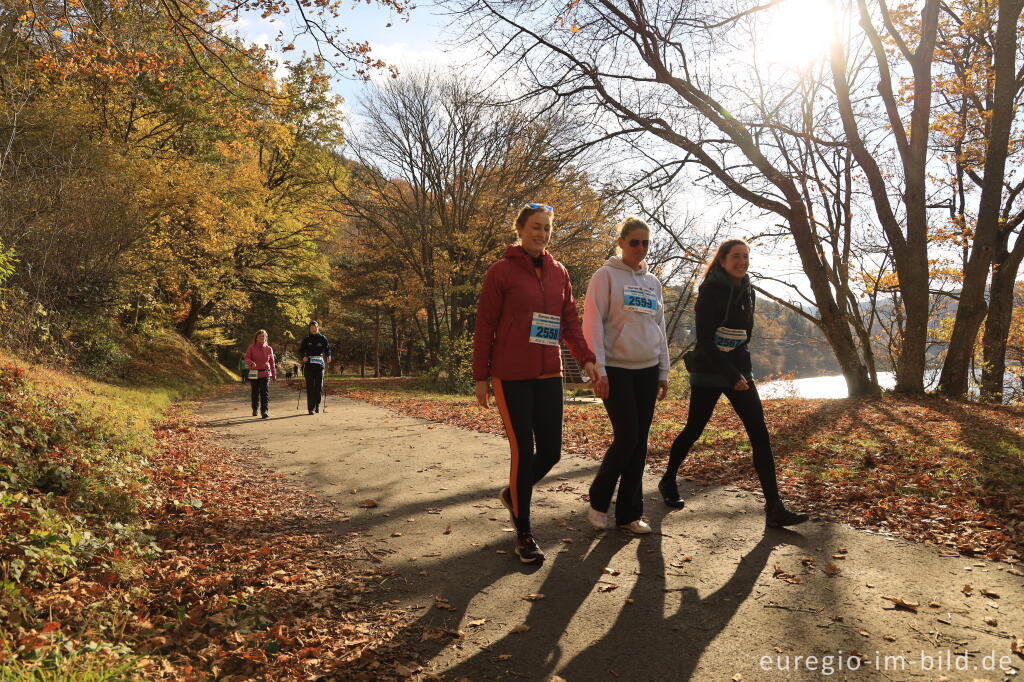 Detailansicht von Rursee-Marathon