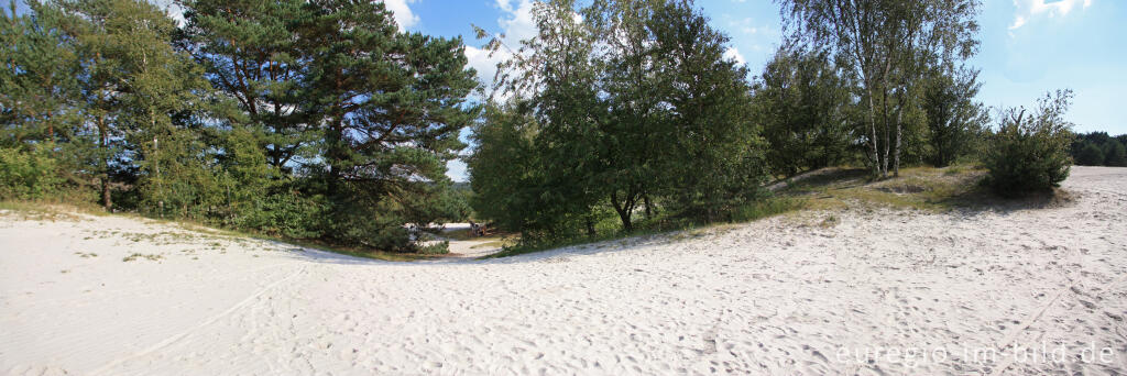 Detailansicht von Sandfläche in der Brunssummerheide