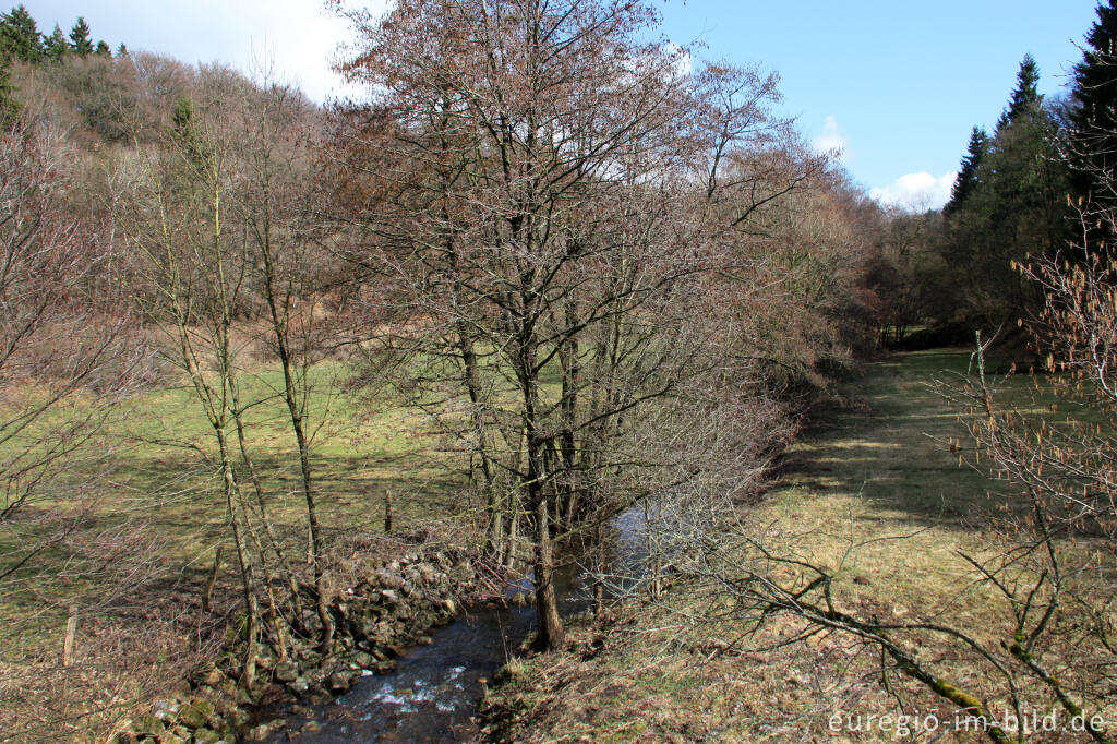 Detailansicht von Schafbach, auf der 7. Etappe des Eifelsteigs