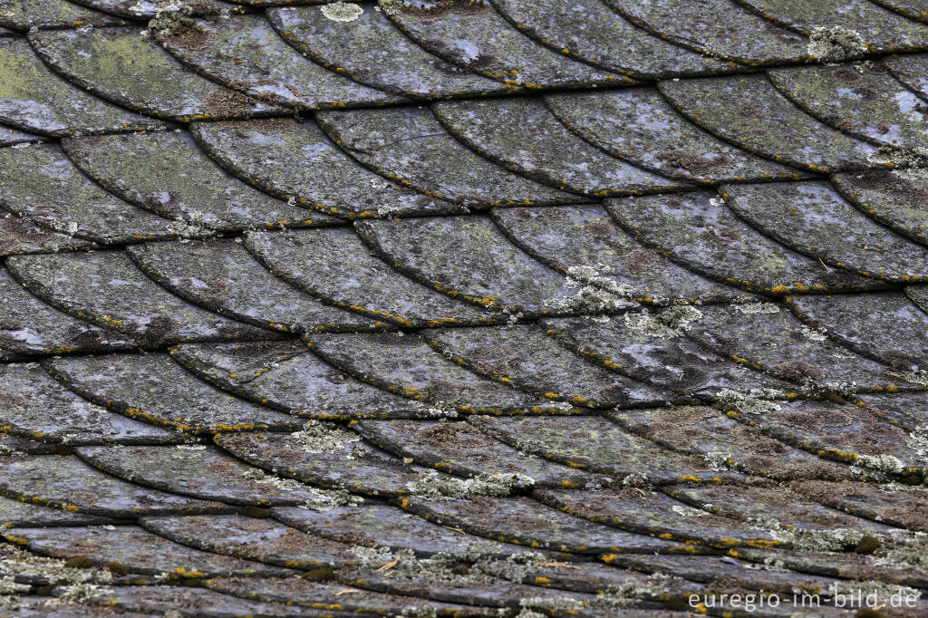 Detailansicht von Schieferdach der Cornelius-Kapelle von Welchenhausen