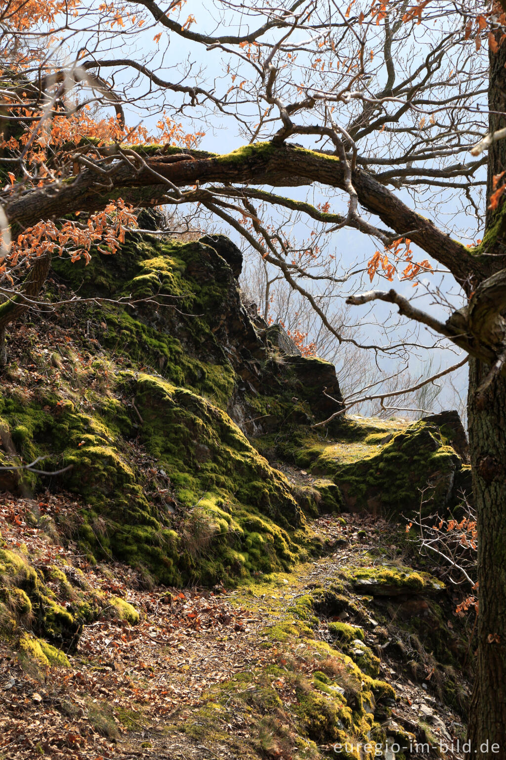 Detailansicht von Schieferfelsen auf dem Meuchelberg