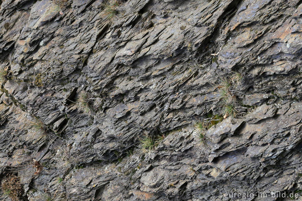 Detailansicht von Schieferfelsen auf dem Meuchelberg