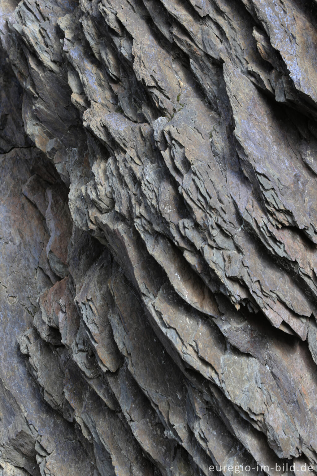 Detailansicht von Schieferfelsen auf dem Meuchelberg