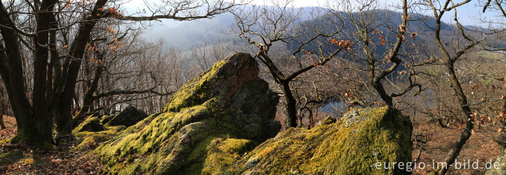 Detailansicht von Schieferfelsen auf dem Meuchelberg