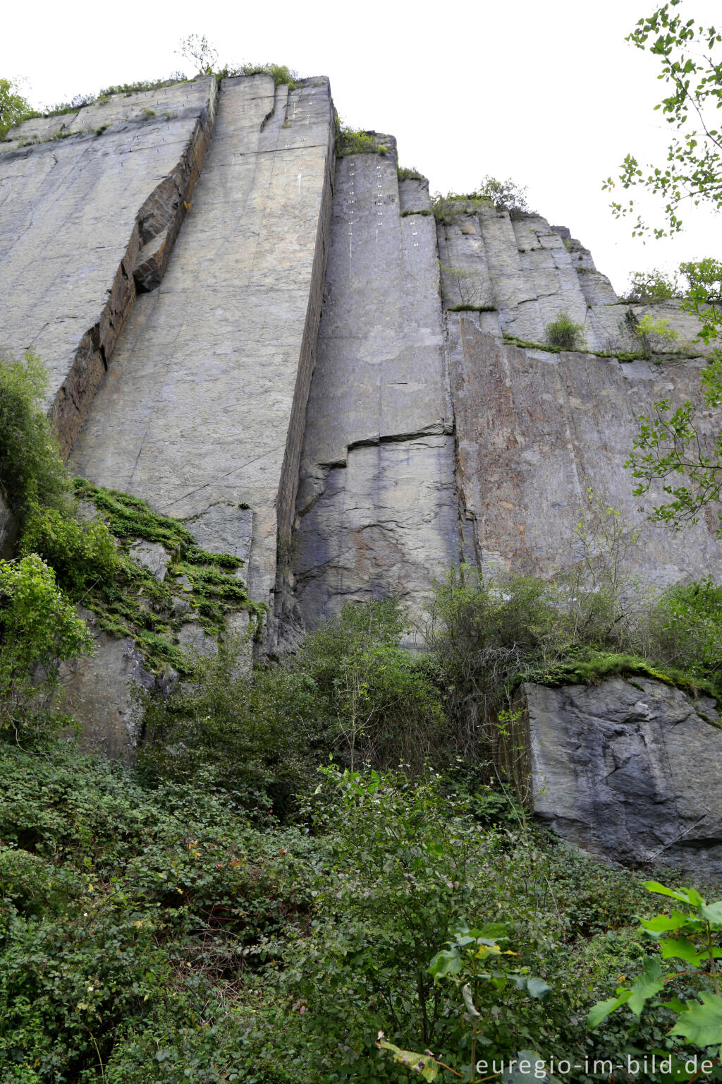 Detailansicht von Schieferfelsen der Engelsley bei Altenahr