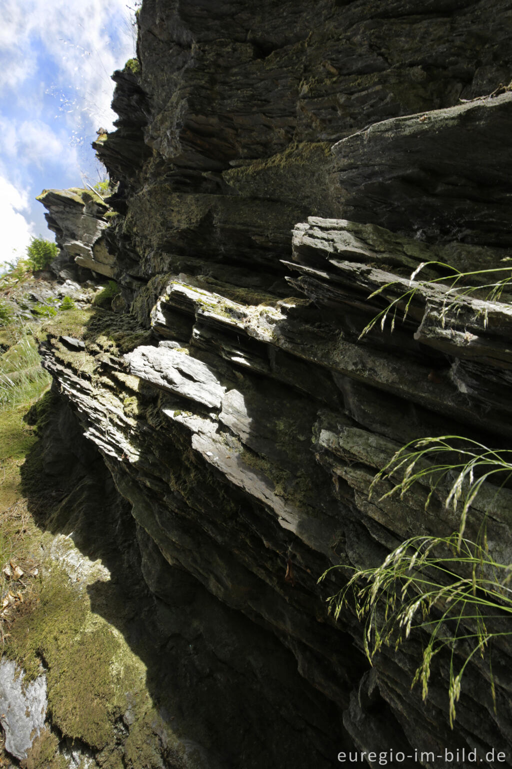 Detailansicht von Schieferfelsen im Belgenbachtal