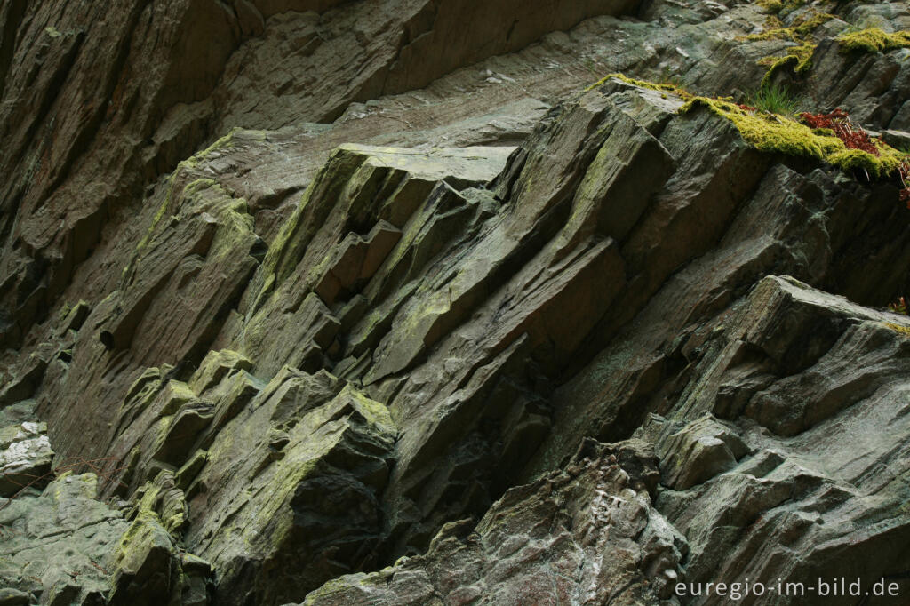 Schieferfelsen oder Ley, Eifelsteig, 3. Etappe