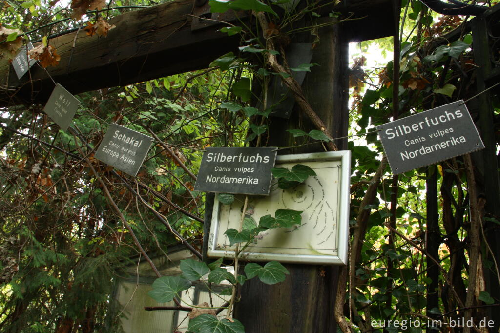 Detailansicht von Schilder im Hortus Dialogus, Nideggen - Abenden