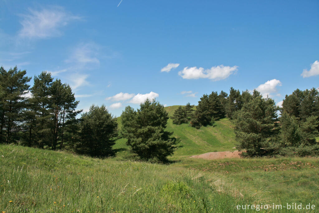 Detailansicht von Schlangenberg bei Breinigerheide, Nordeifel