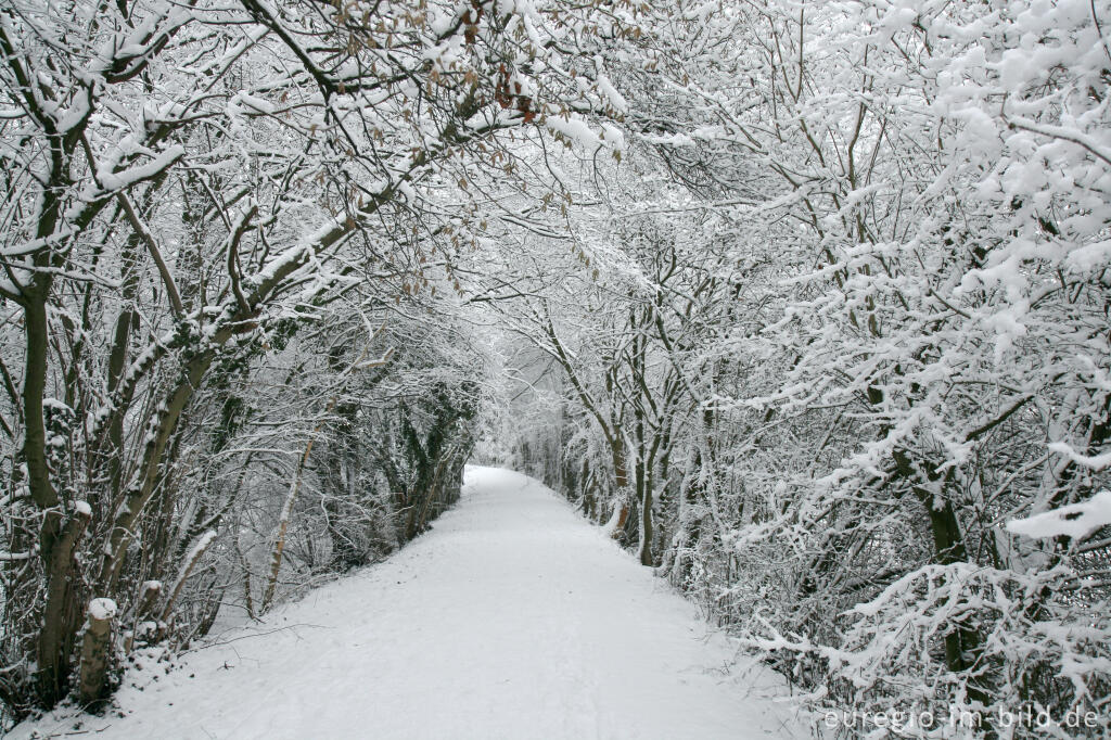 Detailansicht von Schnee im Wurmtal