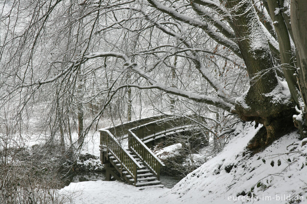 Detailansicht von Schnee im Wurmtal