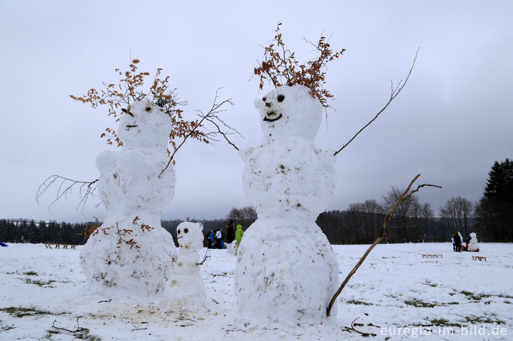 Detailansicht von Schneemann im Wintersportgebiet "Weißer Stein" bei Udenbreth in der Hocheifel