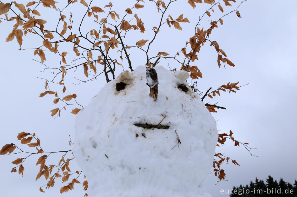 Detailansicht von Schneemann im Wintersportgebiet "Weißer Stein" bei Udenbreth in der Hocheifel