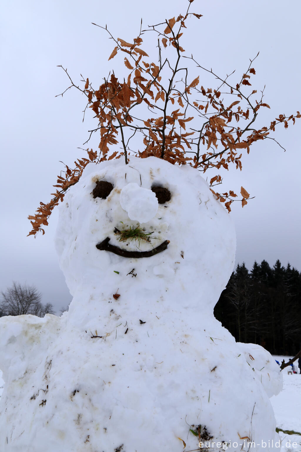 Detailansicht von Schneemann im Wintersportgebiet "Weißer Stein" bei Udenbreth in der Hocheifel