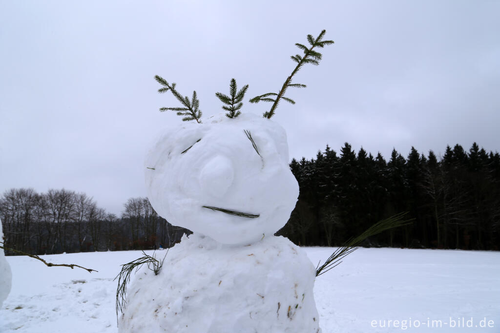 Detailansicht von Schneemann im Wintersportgebiet "Weißer Stein" bei Udenbreth in der Hocheifel