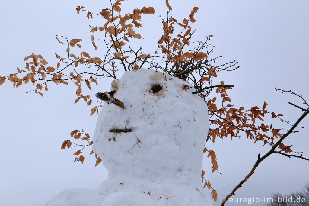 Detailansicht von Schneemann im Wintersportgebiet "Weißer Stein" bei Udenbreth in der Hocheifel