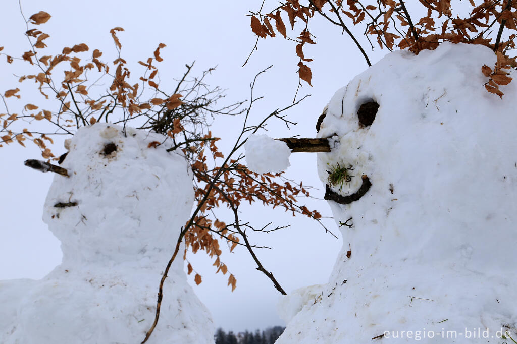 Detailansicht von Schneemann im Wintersportgebiet "Weißer Stein" bei Udenbreth in der Hocheifel