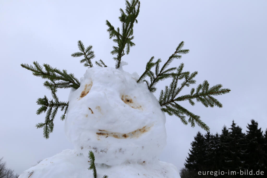 Detailansicht von Schneemann im Wintersportgebiet "Weißer Stein" bei Udenbreth in der Hocheifel