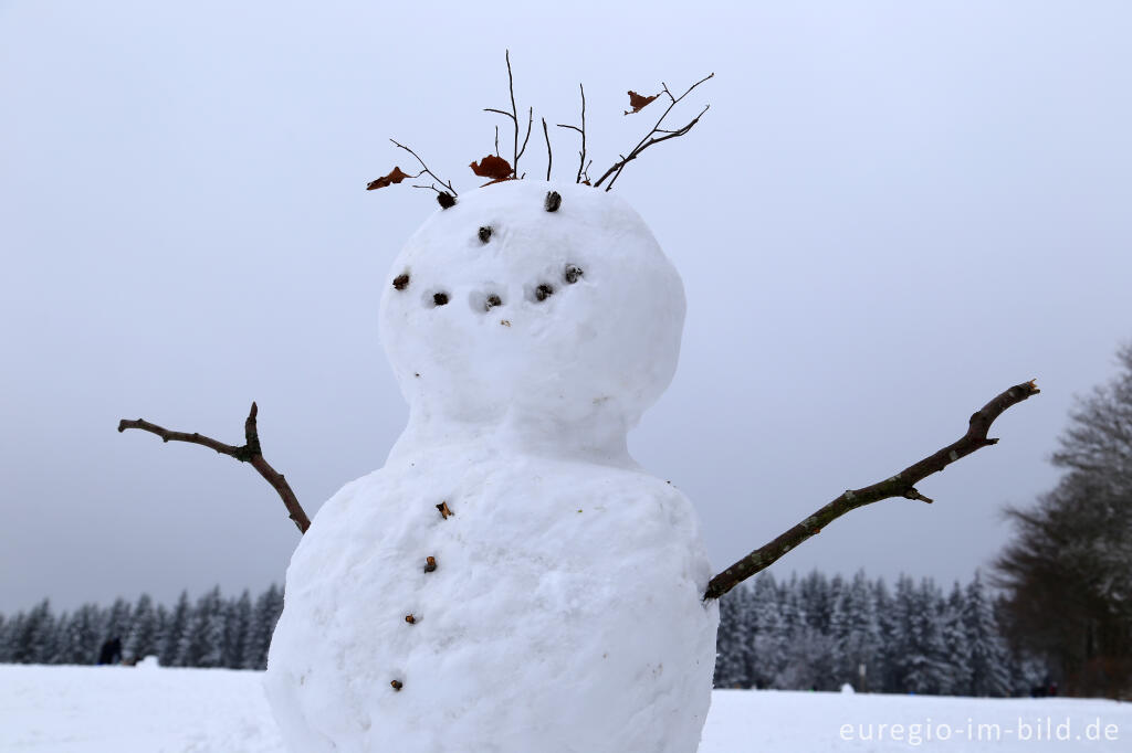 Detailansicht von Schneemann im Wintersportgebiet "Weißer Stein" bei Udenbreth in der Hocheifel