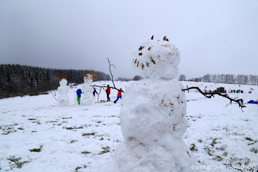 Detailansicht von Schneemann im Wintersportgebiet "Weißer Stein" bei Udenbreth in der Hocheifel