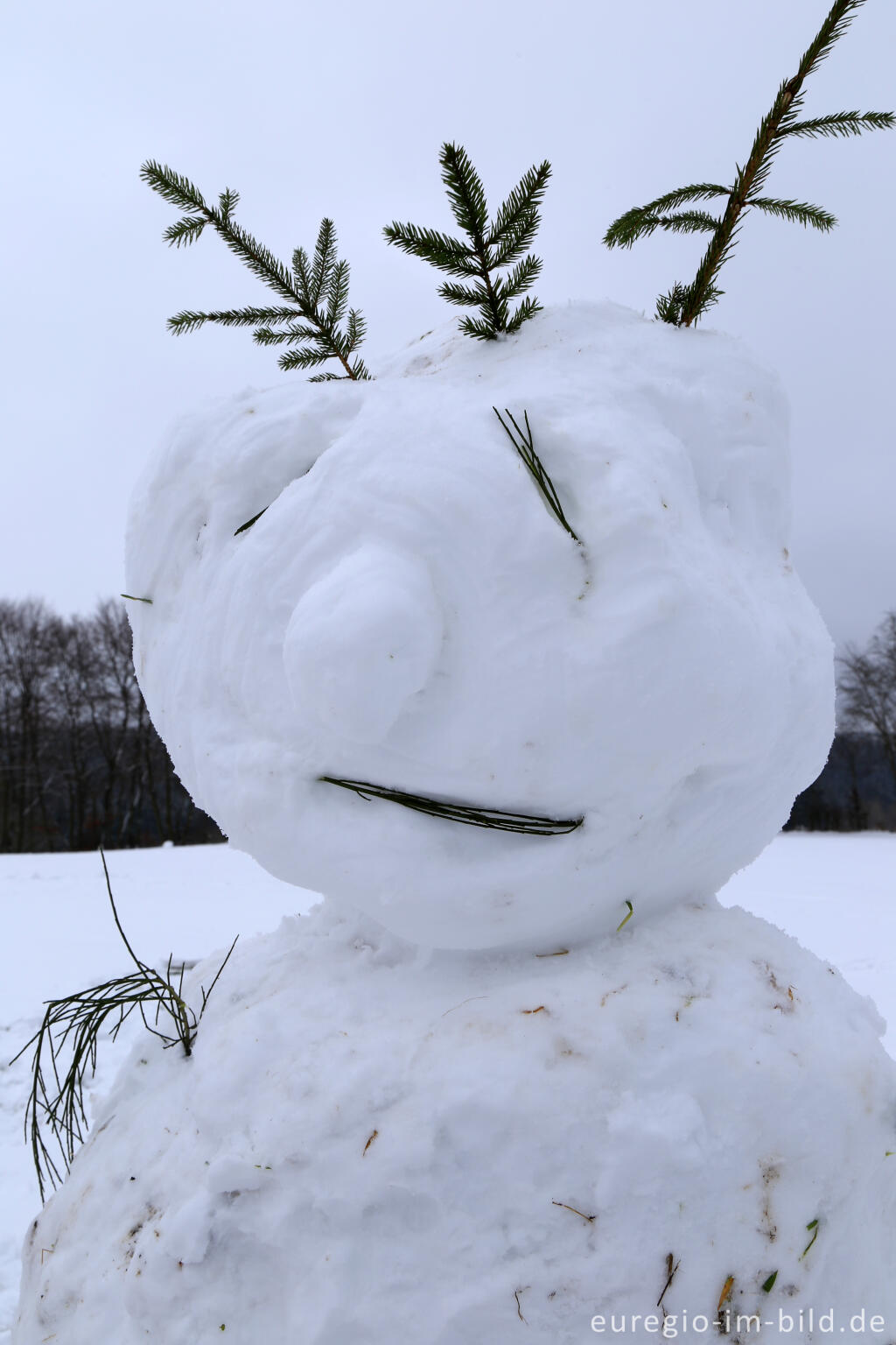 Detailansicht von Schneemann im Wintersportgebiet "Weißer Stein" bei Udenbreth in der Hocheifel