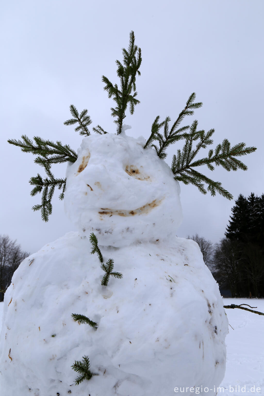 Detailansicht von Schneemann im Wintersportgebiet "Weißer Stein" bei Udenbreth in der Hocheifel