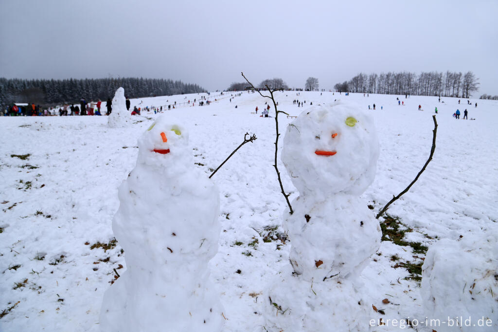 Detailansicht von Schneemann im Wintersportgebiet "Weißer Stein" bei Udenbreth in der Hocheifel