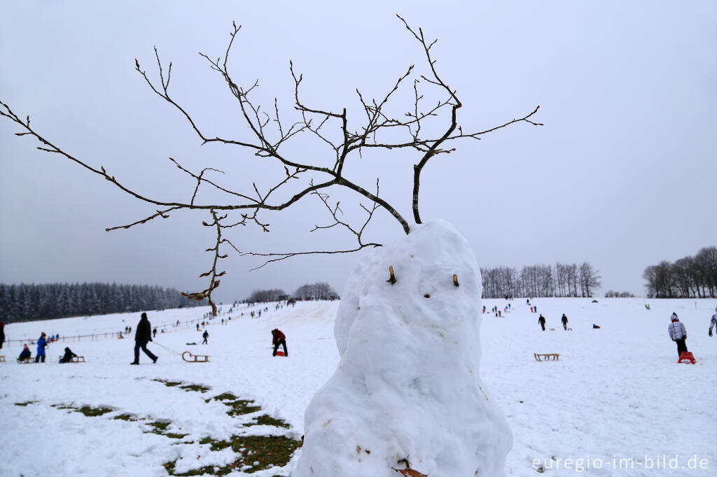 Detailansicht von Schneemann im Wintersportgebiet "Weißer Stein" bei Udenbreth in der Hocheifel