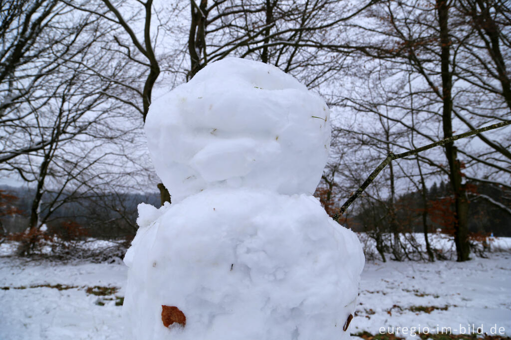 Detailansicht von Schneemann im Wintersportgebiet "Weißer Stein" bei Udenbreth in der Hocheifel