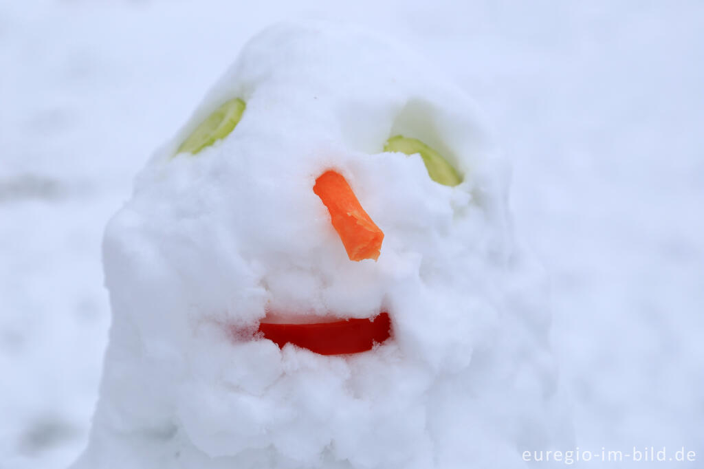 Detailansicht von Schneemann im Wintersportgebiet "Weißer Stein" bei Udenbreth in der Hocheifel