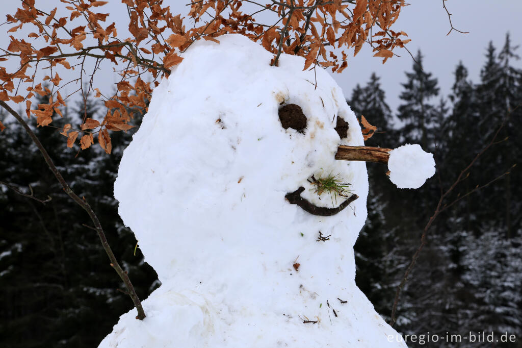 Detailansicht von Schneemann im Wintersportgebiet "Weißer Stein" bei Udenbreth in der Hocheifel