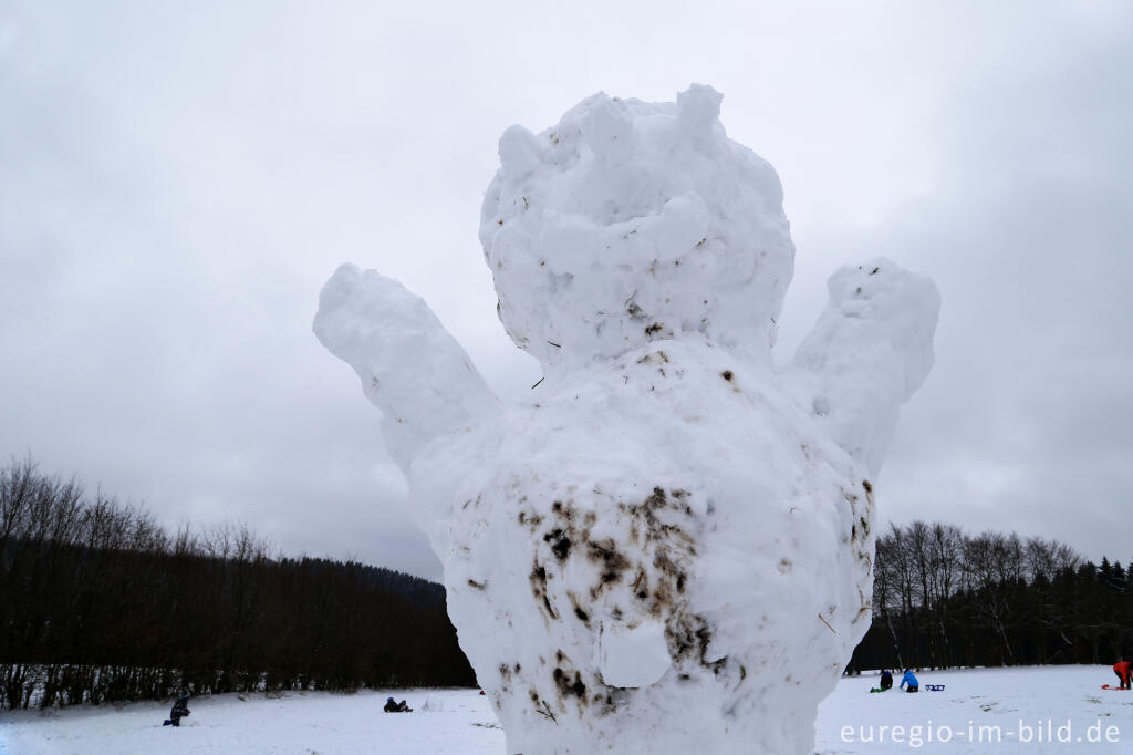 Detailansicht von Schneemann im Wintersportgebiet "Weißer Stein" bei Udenbreth in der Hocheifel