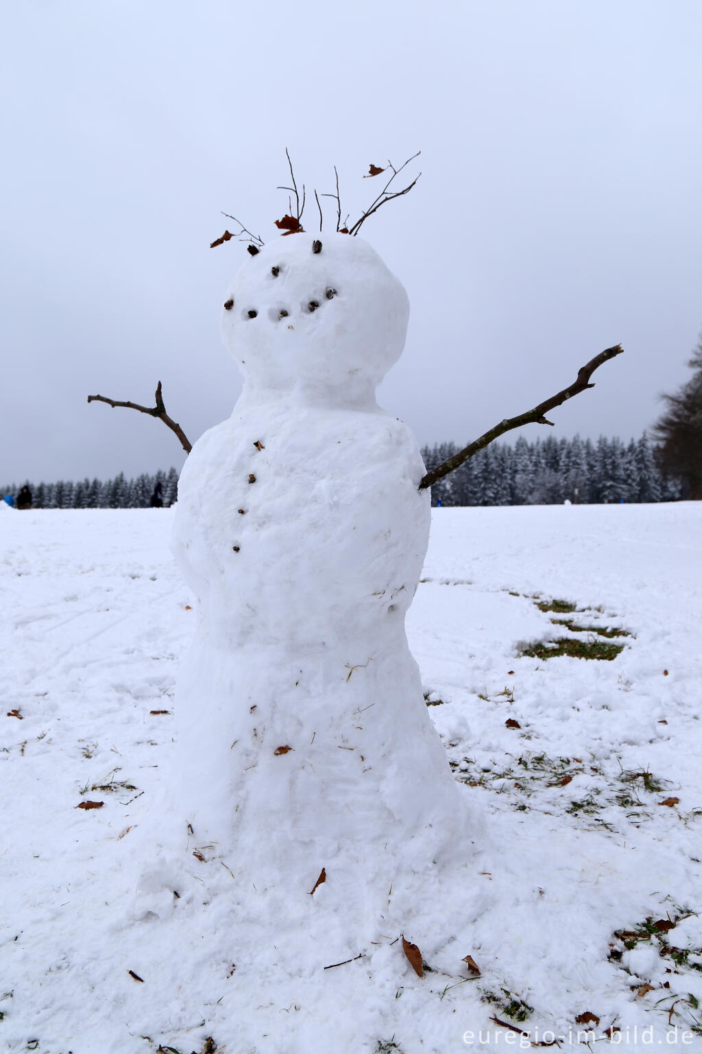 Detailansicht von Schneemann im Wintersportgebiet "Weißer Stein" bei Udenbreth in der Hocheifel