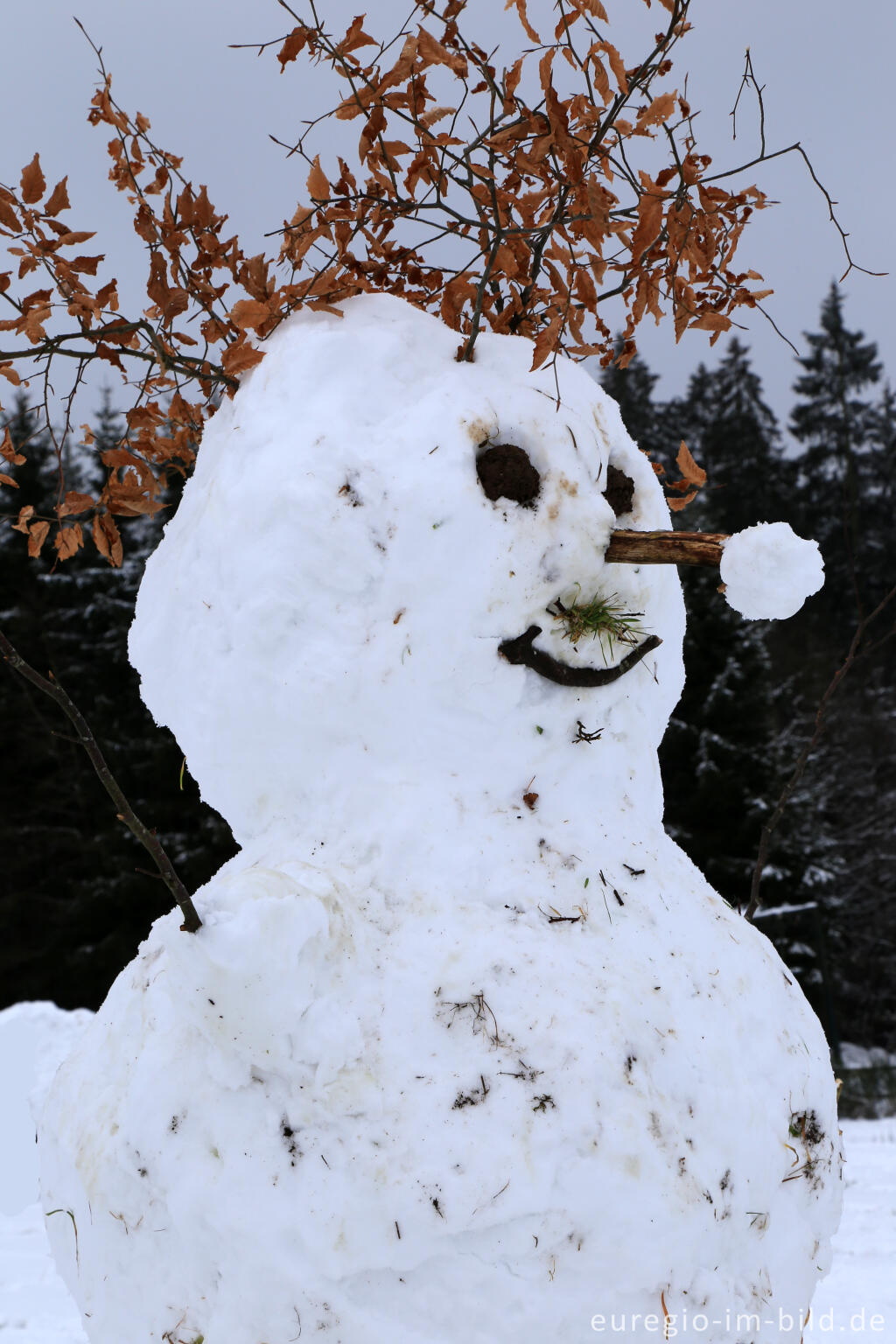 Detailansicht von Schneemann im Wintersportgebiet "Weißer Stein" bei Udenbreth in der Hocheifel