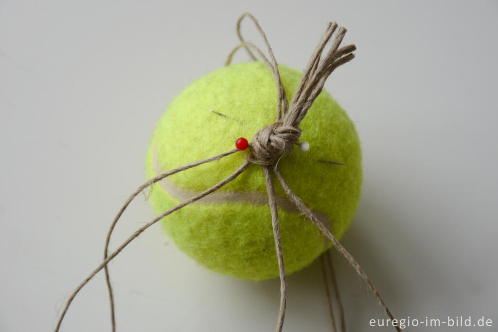 Detailansicht von Schritt für Schritt Anleitung für Meisenknödel